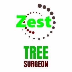 Zest Tree Surgeon logo