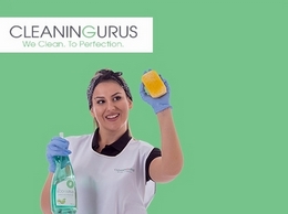 https://www.thecleaninggurus.co.uk/ website