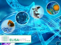 https://www.elisakits.co.uk/ website