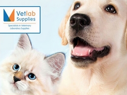 https://vetlabsupplies.co.uk/ website