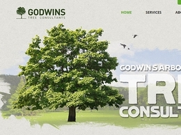 https://www.godwins.co.uk/ website