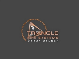 https://www.trianglefiregroup.co.uk/ website