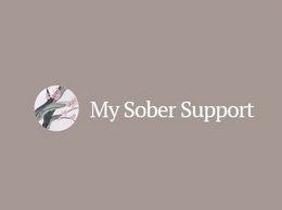 https://www.mysobersupport.com/ website