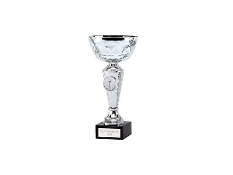 https://footballtrophy.co.uk/ website