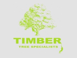 https://www.timbertreespecialists.co.uk/forestry-tree-services/ website