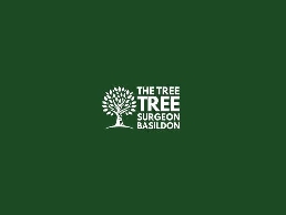 https://basildontreesurgeon.co.uk/ website