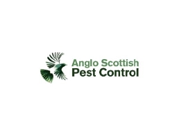 https://anglopestcontrol.scot/ website