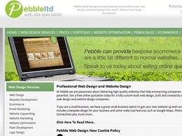 https://www.pebbleltd.co.uk/ website