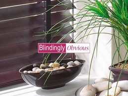 https://www.blindinglyobvious.co.uk/ website