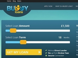 https://www.buddyloans.com/ website