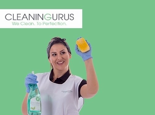 https://www.thecleaninggurus.co.uk/ website