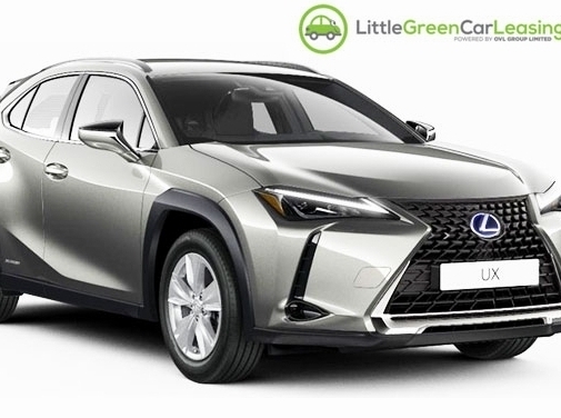 https://www.littlegreencarleasing.com/ website