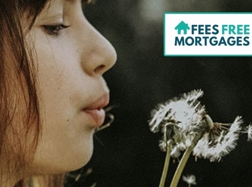 https://feesfreemortgages.co.uk/ website