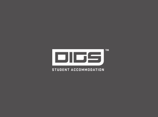 https://digstudent.co.uk/ website