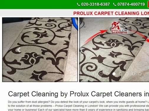 https://www.proluxcleaning.co.uk/ website