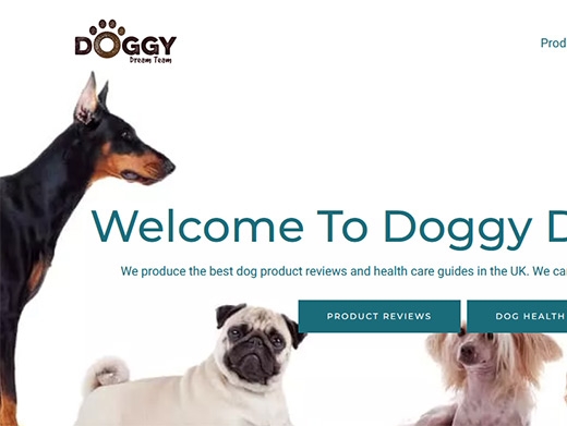 https://www.doggydreamteam.co.uk/ website