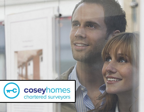 https://www.coseyhomes.co.uk/ website