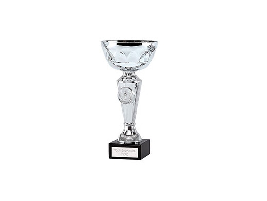 https://footballtrophy.co.uk/ website