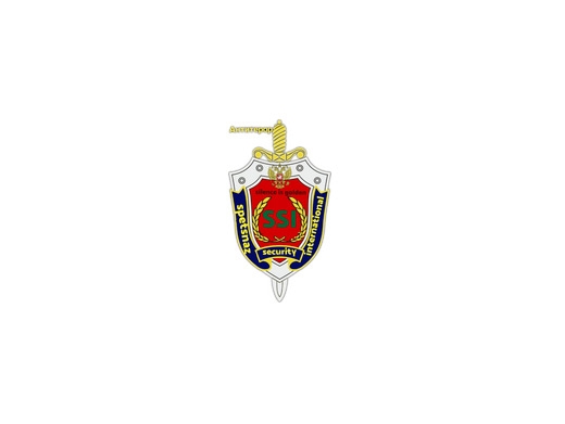 https://www.spetsnazsecurityinternational.co.uk/ website
