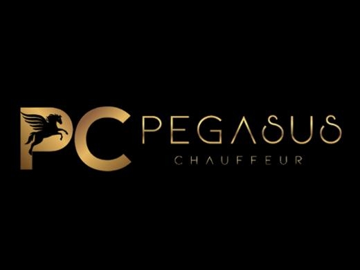 https://pegasuschauffeur.com/ website