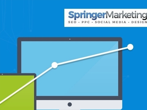 https://www.springermarketingservices.co.uk/ website