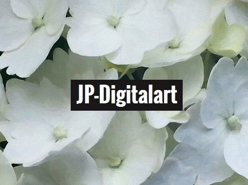 https://www.jp-digitalart.com website